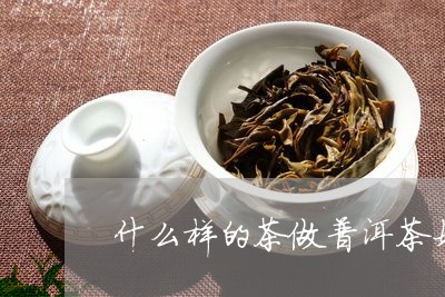 什么样的茶做普洱茶好喝/2023110183159