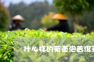 什么样的茶壶泡普洱茶好/2023110140462