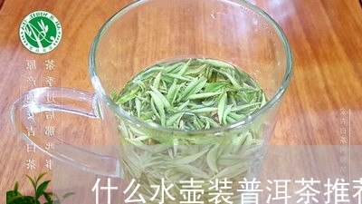 什么水壶装普洱茶推荐/2023073163704