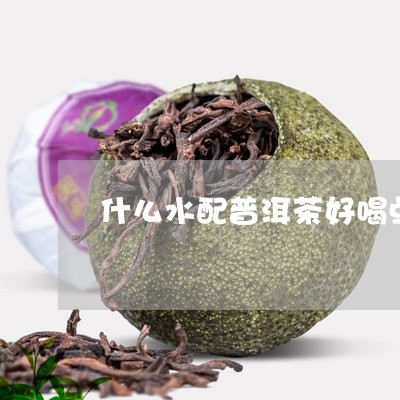 什么水配普洱茶好喝点呢/2023082714937