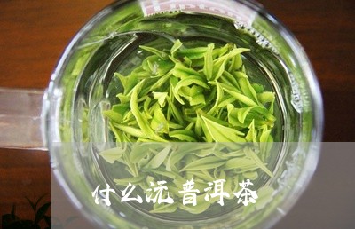 什么沅普洱茶/2023042783734