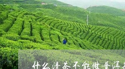 什么清茶不能做普洱茶/2023100686160