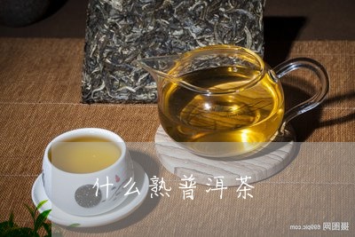 什么熟普洱茶/2023042744887