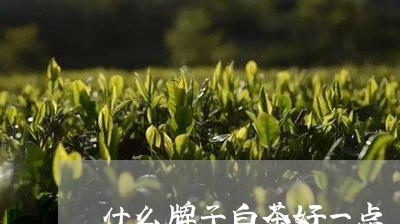 什么牌子白茶好一点/2023071523351