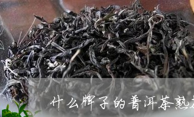 什么牌子的普洱茶熟茶最好最正宗/2023082659480