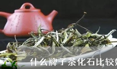 什么牌子茶化石比较好/2023071646059