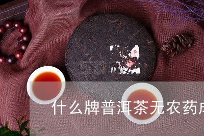 什么牌普洱茶无农药成份/2023082862914