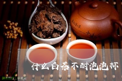 什么白茶不耐泡泡杯/2023071585937