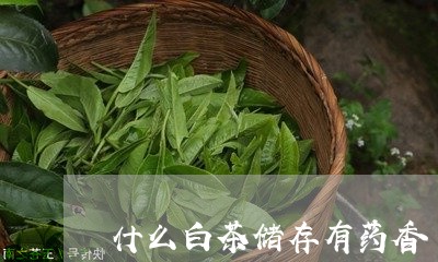 什么白茶储存有药香/2023121692738