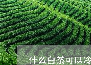 什么白茶可以冷泡喝/2023121661614