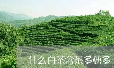 什么白茶含茶多糖多/2023081237040