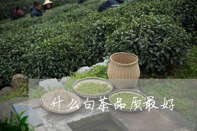 什么白茶品质最好/2023061541827