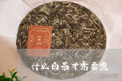 什么白茶才需要煮/2023061522836