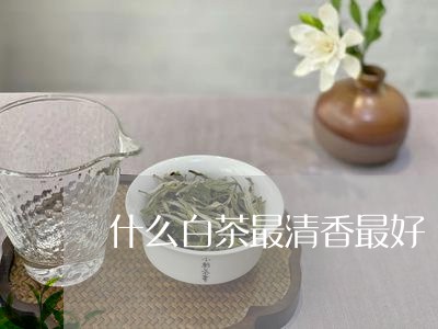 什么白茶最清香最好/2023071555917