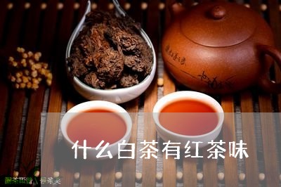 什么白茶有红茶味/2023061523046