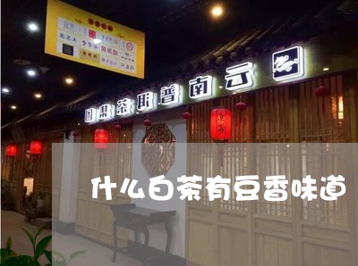 什么白茶有豆香味道/2023081247371