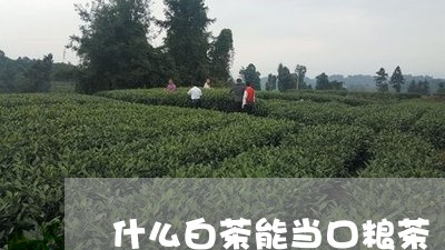 什么白茶能当口粮茶/2023081214270