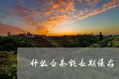 什么白茶能长期保存/2023071518369