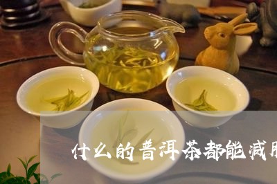 什么的普洱茶都能减肥/2023092727060