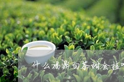 什么福鼎白茶甜会挂嘴/2023120671517