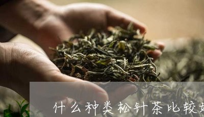 什么种类松针茶比较好/2023071444259