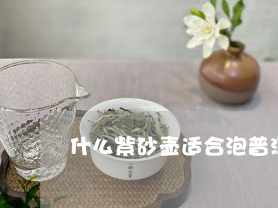 什么紫砂壶适合泡普洱茶熟茶/2023110247350