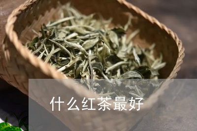 什么红茶最好/2023042933590