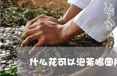 什么花可以泡茶喝图片/2023060813946