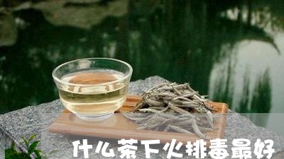 什么茶下火排毒最好/2023042136059