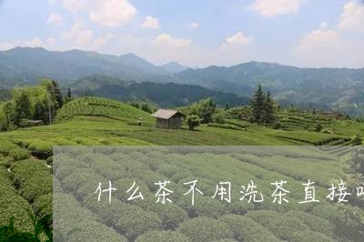 什么茶不用洗茶直接喝/2023060700582