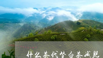 什么茶代替白茶减肥/2023071581737