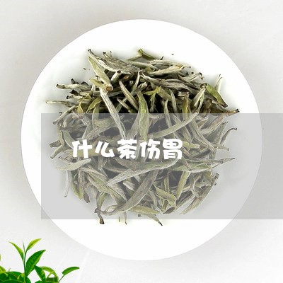 什么茶伤胃/2023090206039