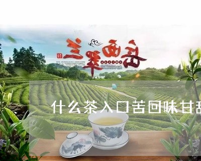 什么茶入口苦回味甘甜/2023071467505