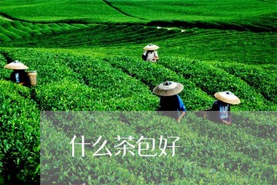 什么茶包好/2023090297453