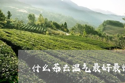 什么茶去湿气最好最快/2023071335047