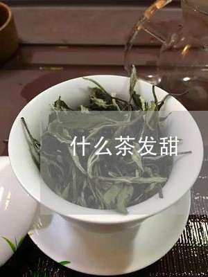 什么茶发甜/2023090232604