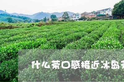 什么茶口感接近冰岛茶/2023092325272