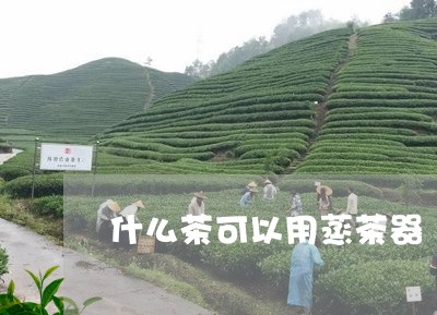 什么茶可以用蒸茶器/2023042139170