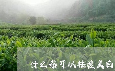 什么茶可以祛痘美白/2023042180360