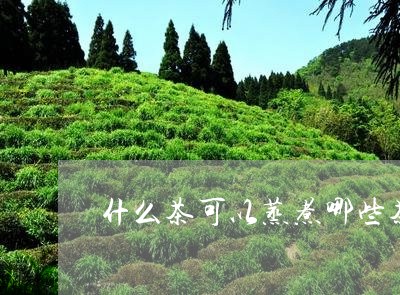 什么茶可以蒸煮哪些茶适合蒸茶器/2023060271581