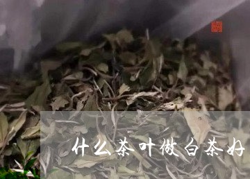 什么茶叶做白茶好/2023061556271