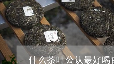 什么茶叶公认最好喝白茶/2023062929501