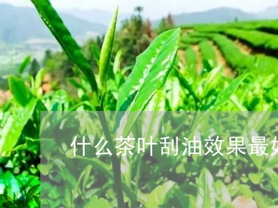 什么茶叶刮油效果最好/2023061005148