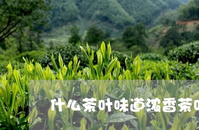 什么茶叶味道浓香茶叶采摘的方法/2023060132514