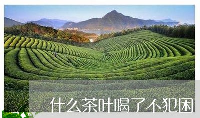 什么茶叶喝了不犯困/2023042622728