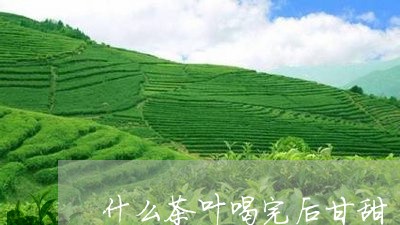 什么茶叶喝完后甘甜/2023042603257