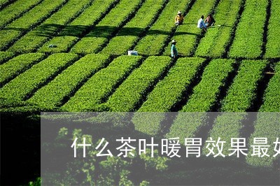 什么茶叶暖胃效果最好/2023061083848