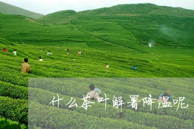 什么茶叶解暑降温呢/2023042638371