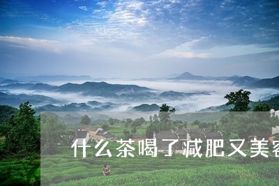 什么茶喝了减肥又美容/2023071474937