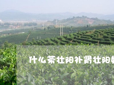 什么茶壮阳补肾壮阳好喝的普洱熟茶/2023060317160